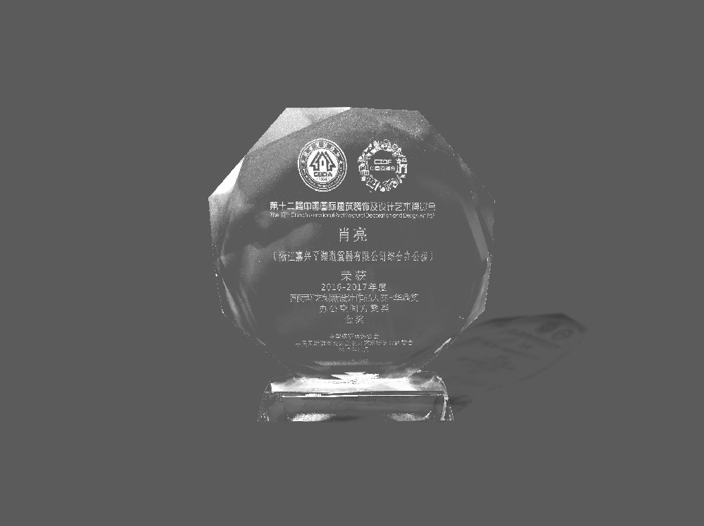 奖项8